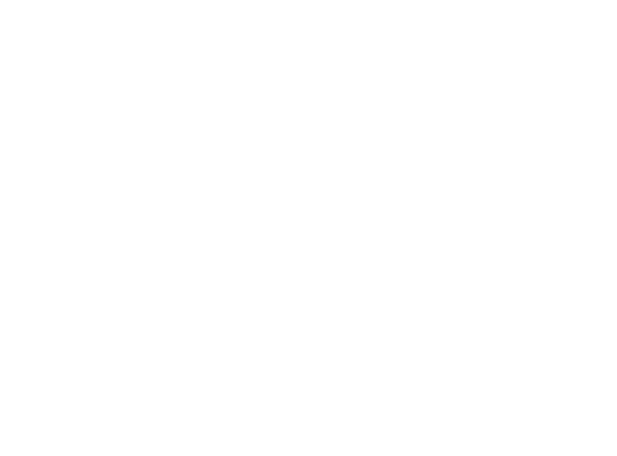 NSA Logo